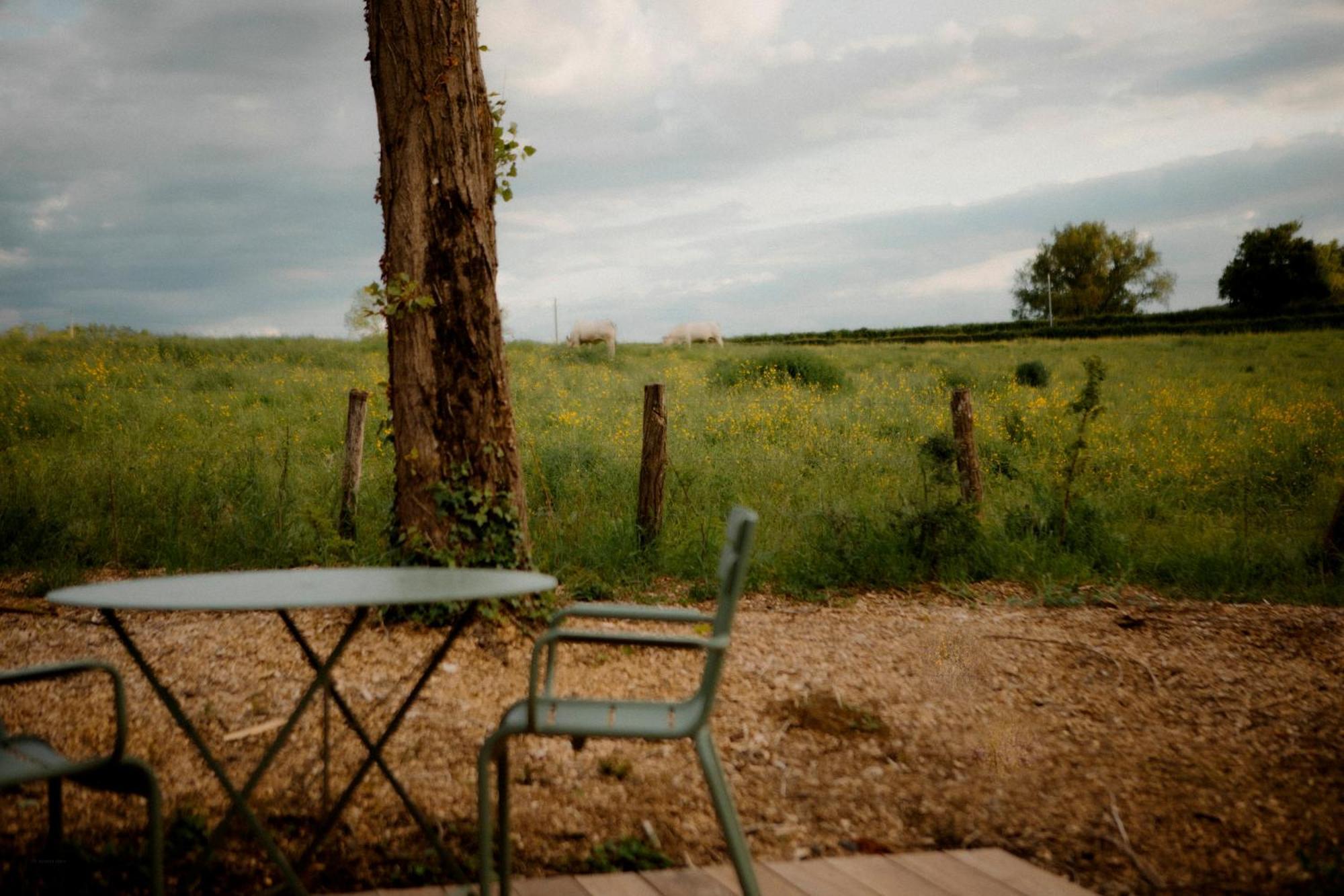 La Suite Nature By Lumipod X Tomette Singuliere Chateau  エクステリア 写真