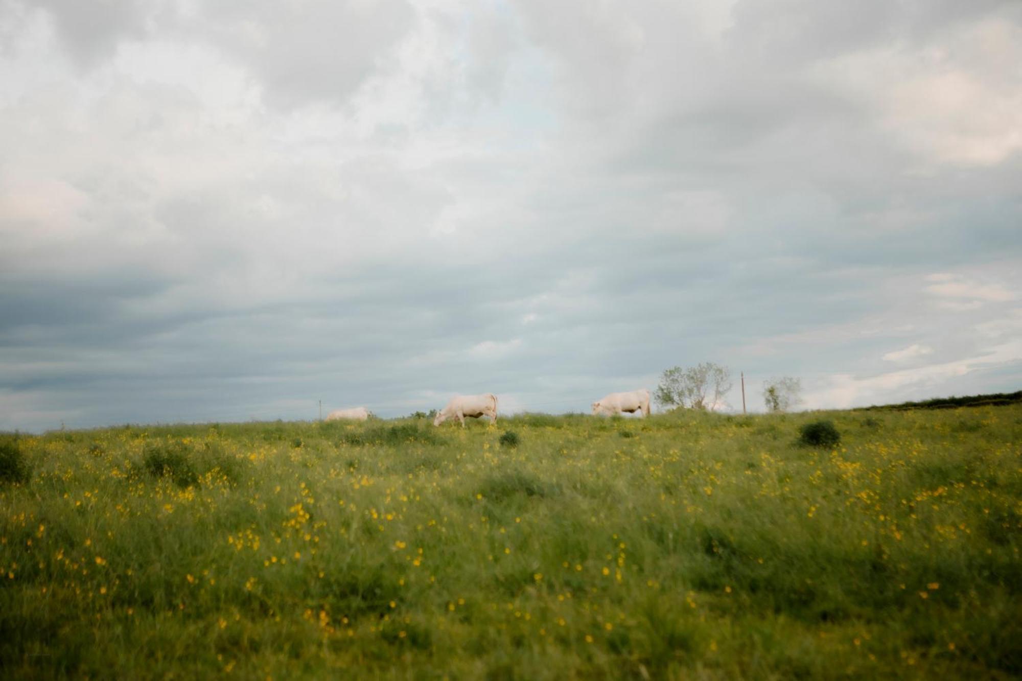 La Suite Nature By Lumipod X Tomette Singuliere Chateau  エクステリア 写真